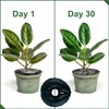 3PCS 12 inch Tree Watering Bag. Basic Water Saving Slow
