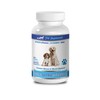 Dog antioxidant Supplements - Ultra Vitamins for Dogs - Chews