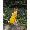 Sleeveless Zip Up Dog Raincoat with Reflective Buttons, Pockets, Rain/Water