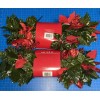 Ashland 6ft Red Berry Poinsettia Holly Chain Garland Lot Of