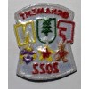 Ornament Fun 2022 Girl Scout Fun Patch