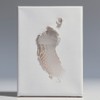 차홍 듀얼 하드 왁스, 80ml, 1개 Chahong Dual Hard Wax,