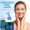 Soleneva Anti-Wrinkle Serum and Moisturising Night Cream