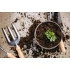 Gardenera Premium Potting Soil Blend for Celery - The Ultimate