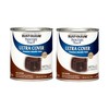 Rust-Oleum 254101-2PK Painter's Touch Latex Paint, Quart, Metallic Oil-Rubbed Bronze,