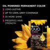 Garnier Olia 10 Very Light Blonde No Ammonia Permanent Hair