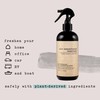Air Essentials Air Freshener & Odor Eliminator Spray - 12
