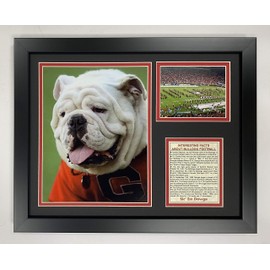 Legends Never Die UGA The Bulldog- Georgia Bulldogs Football Mascot Collectible | Framed Photo Collage Wall Art Decor - 12"x15"