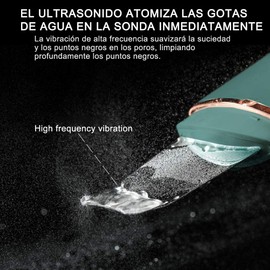 Sebami Limpiador Facial Ultrasónico, Exfoliación Facial ultrasónica Skin Scrubber USB Recargable, Depurador Facial de Poros para Eliminación de Espinillas y Rostro (Verde)