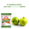 Betty Lou's Fruit Bars, Apple Cinnamon Pack of 12, Gluten
