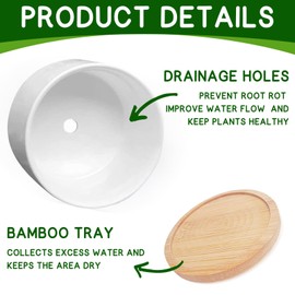 AKAQCHANG Life Would SUCC Without You,Succulent Cactus Cute Planter Pots with Drainage,Office Kitchen Home Windowsill Indoor Verandahs Decor,Gifts for Friends Mom Coworkers Teachers Plant Lovers