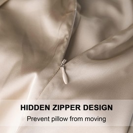 Mulberry Silk Pillowcase for Hair and Skin,Cooling Silk Pillow Case with Hidden Zipper,Allergen Proof Dual Sides Soft Breathable Smooth Silk Pillow Cover for Women (Champagne, Body)