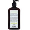 DERMagic Peppermint & Tea Tree Oil Shampoo 12 fl. oz.