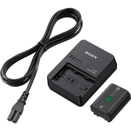 Sony ACC-QZ1K Accessory Kit (BC-QZ1+NP-FZ100)
