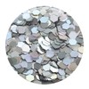 GLITTIES - (6PK) - Amazing Variety Of Holographic Silver Glitter!