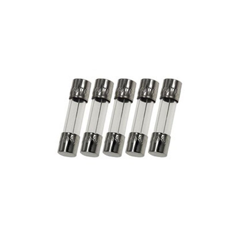 Pack of 5-10A Glass Fuse (GMA), 250v, 5mm x 20mm