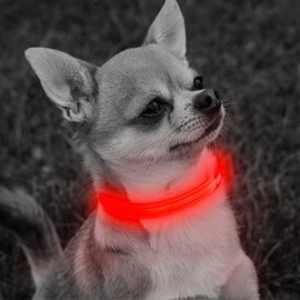 Domagiker Led Puppy Collar - USB Rechargeable Light Up Small Dog Collars, Nylon Adjustable Flashing Cat Safety Necklace, Camping Gear for Small Dogs and Cats