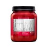 BSN N.O.-XPLODE Pre Workout Powder, Energy Supplement for Men and