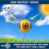 PESTEZE USA Bird Deterrent for Pool Predator Eye Balloon Repellent,