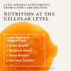 Lypo-Spheric Magnesium L-Threonate – 30 Packets – 1,000 mg Magnesium