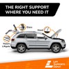 Lift Supports Depot Qty (2) Compatible with Bentley Continental GT