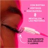 Wet n Wild Kit Fortificante De Cejas Y Pestañas Wet