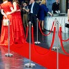 8 Set Red Carpet Party Runner with Poles 27. 5