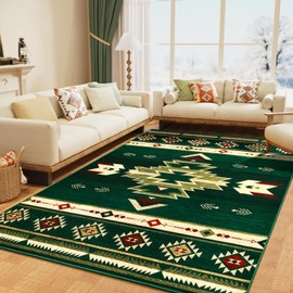 B BENRON Living Room Rugs 5x7 Green Rug Aesthetic Rugs for Bedroom Throw Rugs with Rubber Backing Washable Area Rugs for Kitchen Dining Floor Non Slip Indoor Carpet Western Home Decor