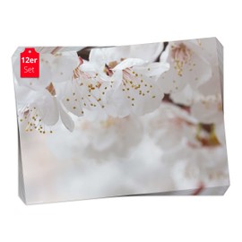 Place Mat - White Flowers - 12 Pieces Made in Germany, 44 x 32 cm Made of Special Natural Paper in Storage Folder - The Special Table Decoration for Spring, Easter & Flowers