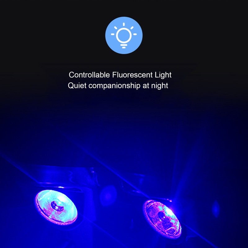 12V Bluetooth Speaker MP3 FM Radio with Light Sound Amplifiers