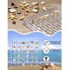Seashell Display Box – 36 Grid Clear Acrylic Shell Holder
