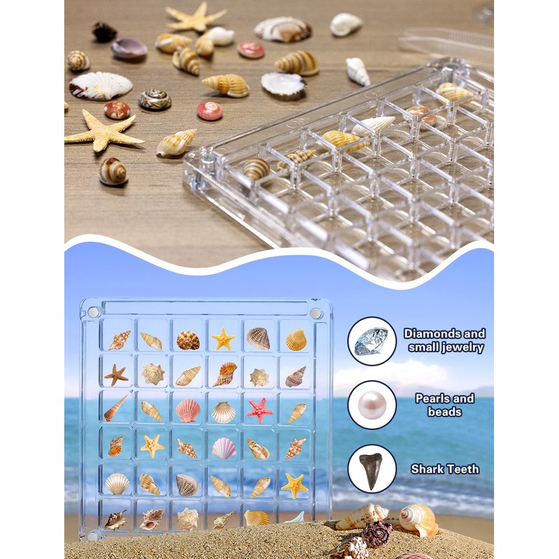 Seashell Display Box – 36 Grid Clear Acrylic Shell Holder