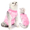 Postoperative Clothing for Cats, Pet Postoperative Wear, Nursing Clothing, Skin