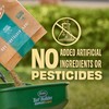O.M. Scott and Sons Natural Grass Food - Grass Fertilizer