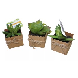 Unbranded Set of 3 3" Mini Artificial Succulent Plants in Square Paper 2"x2" Pots Gift