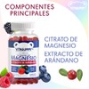 Gomitas de V-CIMA con Citrato de Magnesio con Extracto de