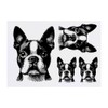 4 x 'Boston Terrier' Temporary Tattoos - Water Resistant, Skin-Safe,