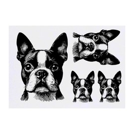 4 x 'Boston Terrier' Temporary Tattoos - Water Resistant, Skin-Safe, Non-Toxic Transfers, Mixed Sizes (TO00077948)