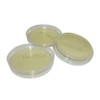 iplusmile Agar Plates Prepoured R2A Agar Plates with Disposable Vacuum