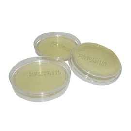 iplusmile Agar Plates Prepoured R2A Agar Plates with Disposable Vacuum Packaging Science Experiment Petri Dishes Media for Growing (Pack of 10)