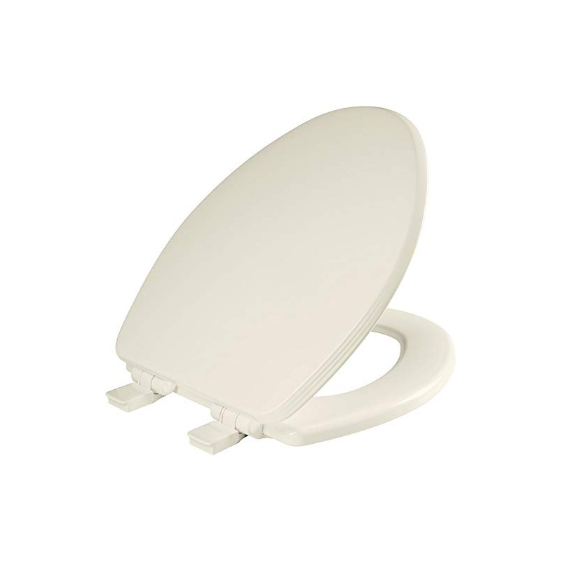 Bemis Ashland Modern Wood Toilet Seat with Decorative Edge, Slow