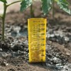 AcuRite 00840A1 Rain Gauge, Medium, Yellow