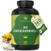 TRUE NATURE Organic Dandelion Root Extract (10:1) - 1500 mg/day