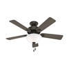 Hunter Fan Company, 44 inch ceiling fan with light, Swanson