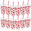 SiliFine 12 Pcs Plastic Watermelon Cups 24oz Reusable Watermelon Tumbler