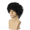 TANTAKO Mens Black Curl Cosplay Wig for 80s Rock Popstar