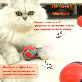Eiruseed Upgraded Speedy Interactive Cat Ball 4.0 Toys with 2 Optional Tails, Smart Moving Ball Cat Toy for Bored Indoor Cats, Rechargeable & Detachable Automatic Kitten Rolling Balls Toy (Orange)