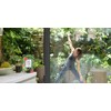 Grass & Co. Super Greens | Active Greens | Daily