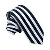 URTERYSER Japanese Cosplay Black Vertical Striped Neck Tie Costume Neckties