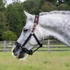 Thinline Turnout Halter for Use with Grazing Muzzle | Horse